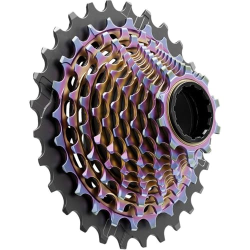 51IowEk2+vL.jpg